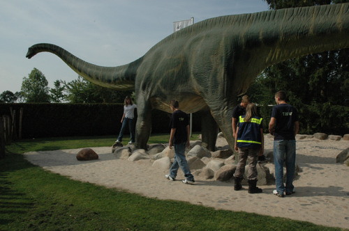 Im Urwelt-Museum in Holzmaden konnten wir lebensgroße 