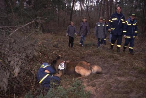 ein echtes Erfolgserlebnis für Hund und Junghelfer